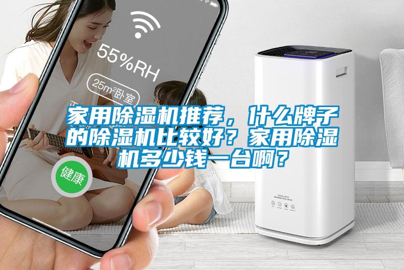 家用除濕機(jī)推薦，什么牌子的除濕機(jī)比較好？家用除濕機(jī)多少錢一臺(tái)?。?/></p>
						    <p style=