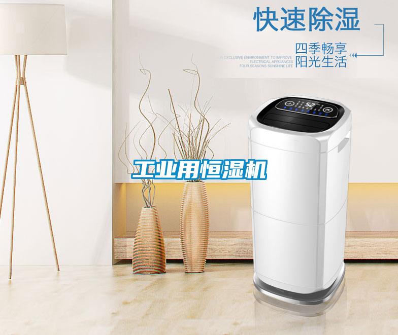 工業(yè)用恒濕機