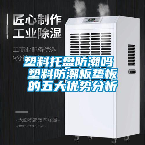 塑料托盤(pán)防潮嗎 塑料防潮板墊板的五大優(yōu)勢(shì)分析