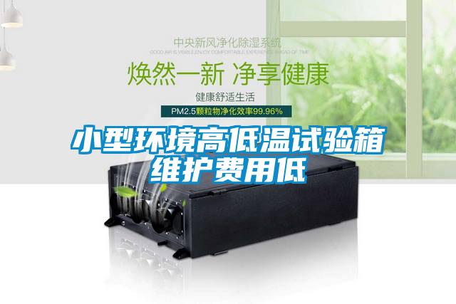 小型環(huán)境高低溫試驗箱維護(hù)費用低