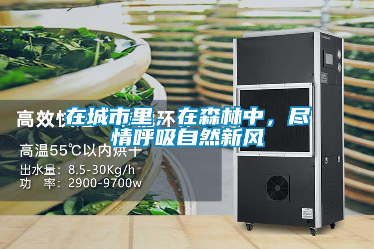 在城市里，在森林中，盡情呼吸自然新風(fēng)