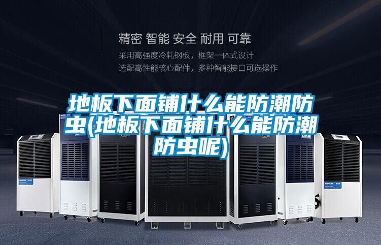 地板下面鋪什么能防潮防蟲(chóng)(地板下面鋪什么能防潮防蟲(chóng)呢)