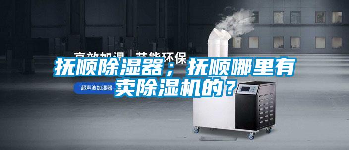 撫順除濕器；撫順哪里有賣除濕機(jī)的？