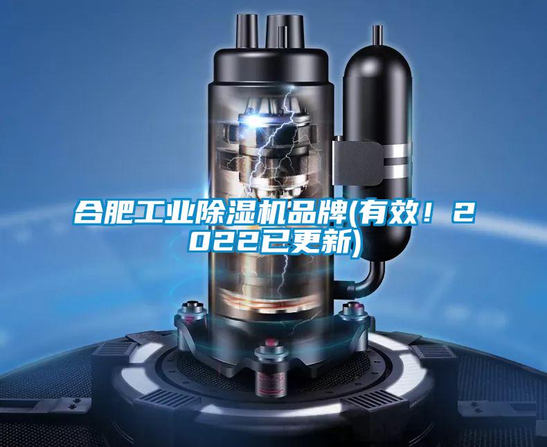 合肥工業(yè)除濕機(jī)品牌(有效！2022已更新)