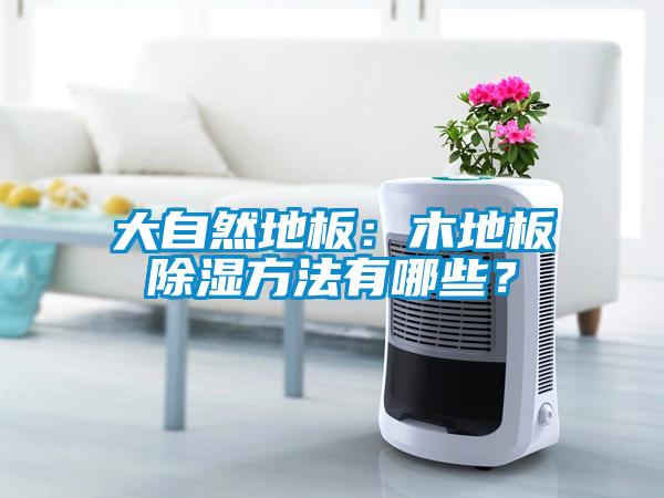 大自然地板：木地板除濕方法有哪些？