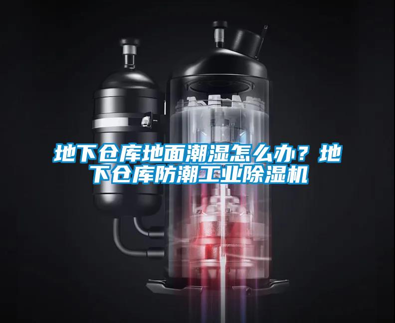 地下倉(cāng)庫(kù)地面潮濕怎么辦？地下倉(cāng)庫(kù)防潮工業(yè)除濕機(jī)