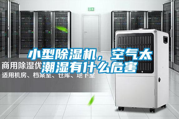 小型除濕機(jī)，空氣太潮濕有什么危害