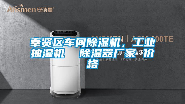 奉賢區(qū)車間除濕機(jī)，工業(yè)抽濕機(jī)  除濕器廠家 價(jià)格