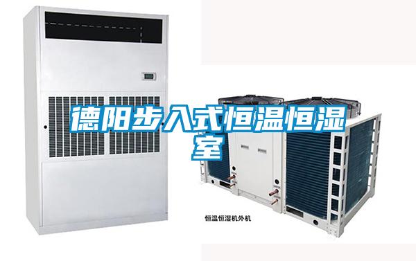 德陽步入式恒溫恒濕室