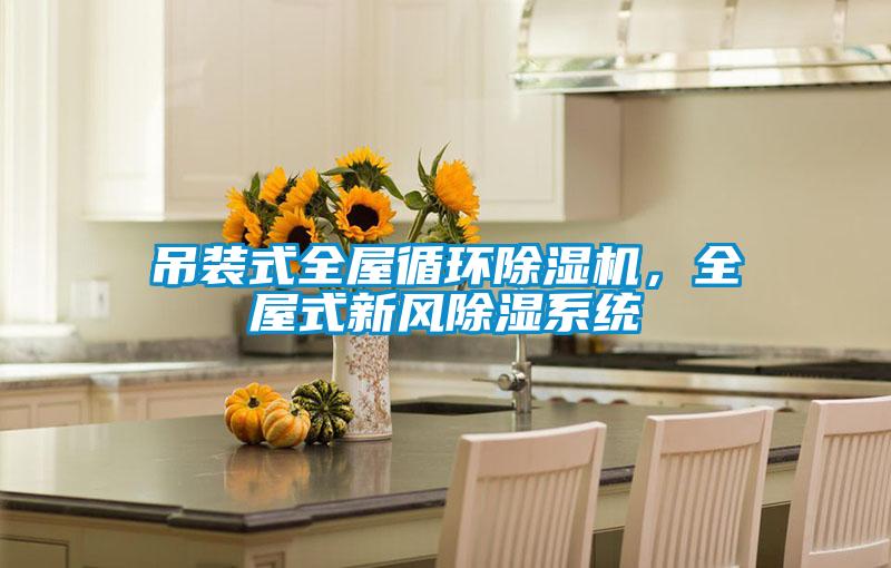 吊裝式全屋循環(huán)除濕機(jī)，全屋式新風(fēng)除濕系統(tǒng)