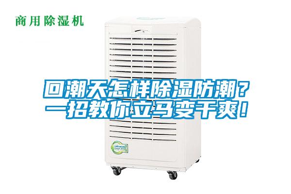 回潮天怎樣除濕防潮？一招教你立馬變干爽！