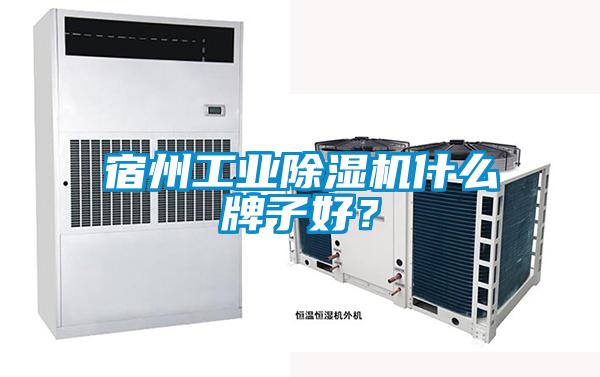 宿州工業(yè)除濕機什么牌子好？