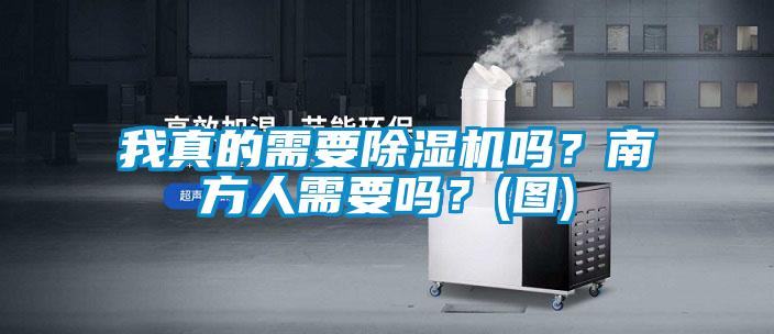 我真的需要除濕機(jī)嗎？南方人需要嗎？(圖)