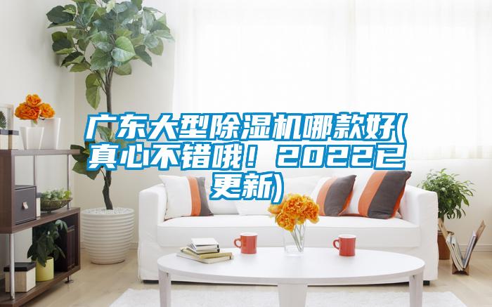 廣東大型除濕機(jī)哪款好(真心不錯(cuò)哦！2022已更新)