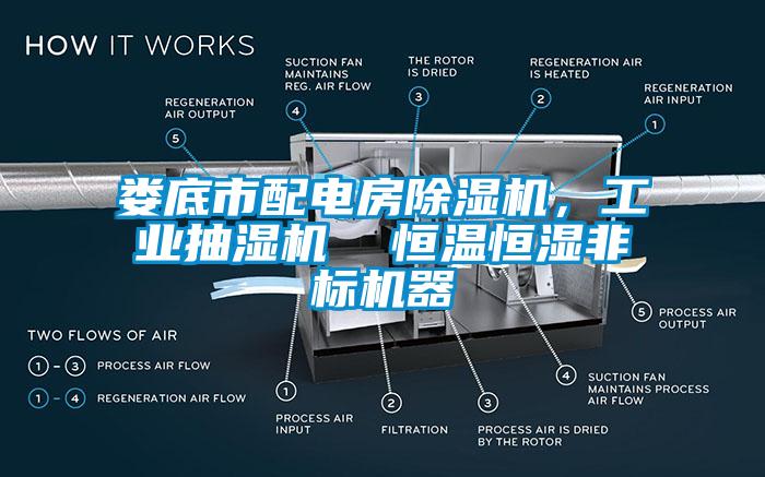 婁底市配電房除濕機(jī)，工業(yè)抽濕機(jī)  恒溫恒濕非標(biāo)機(jī)器