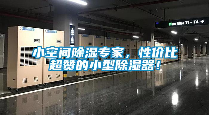 小空間除濕專家，性價比超贊的小型除濕器！