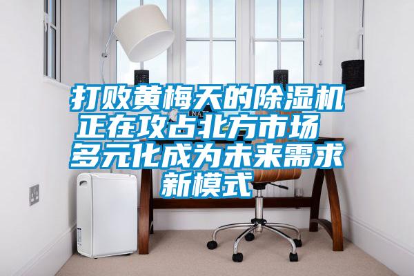 打敗黃梅天的除濕機(jī)正在攻占北方市場(chǎng) 多元化成為未來(lái)需求新模式