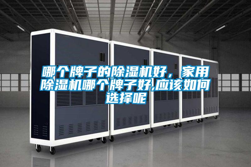 哪個牌子的除濕機好，家用除濕機哪個牌子好,應(yīng)該如何選擇呢