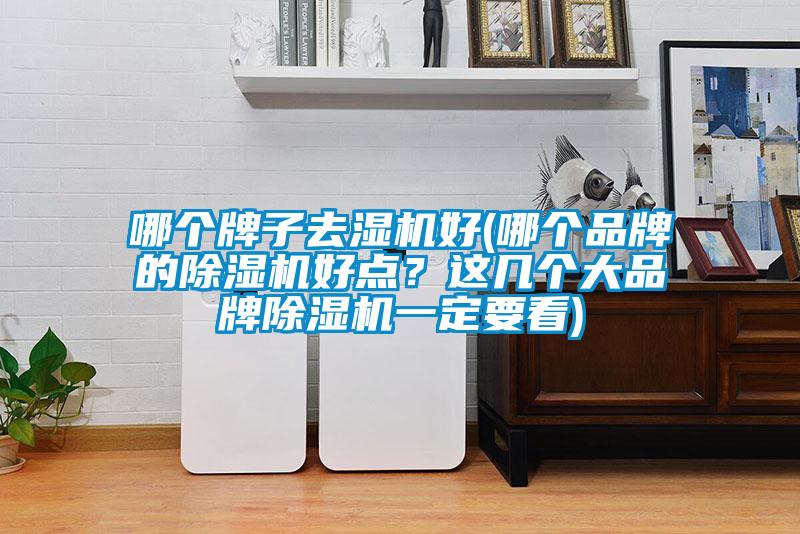哪個牌子去濕機好(哪個品牌的除濕機好點？這幾個大品牌除濕機一定要看)