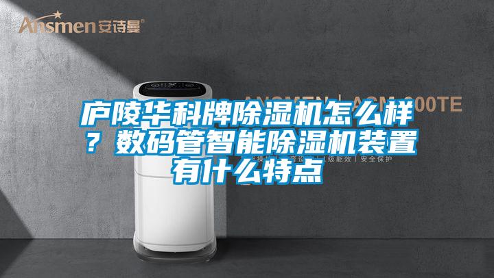 廬陵華科牌除濕機怎么樣？數(shù)碼管智能除濕機裝置有什么特點