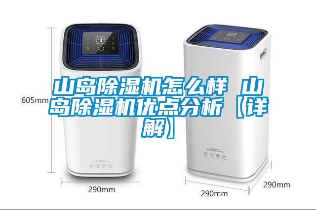 山島除濕機(jī)怎么樣 山島除濕機(jī)優(yōu)點分析【詳解】