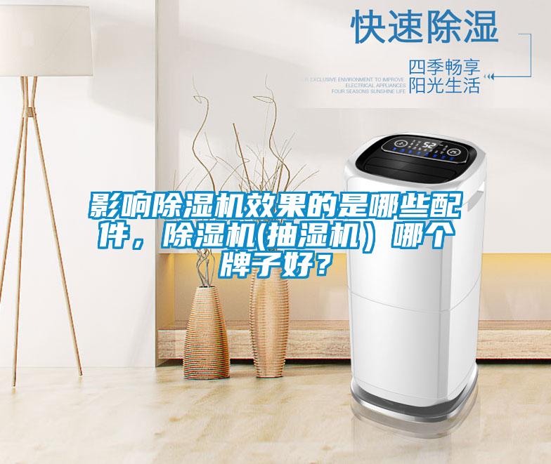 影響除濕機(jī)效果的是哪些配件，除濕機(jī)(抽濕機(jī)）哪個牌子好？