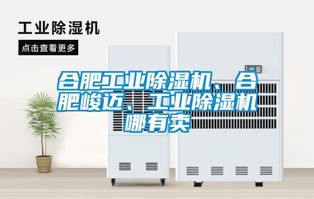合肥工業(yè)除濕機(jī)、合肥峻邁、工業(yè)除濕機(jī)哪有賣