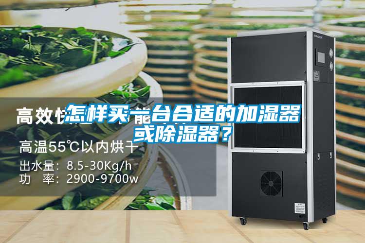 怎樣買一臺(tái)合適的加濕器或除濕器？