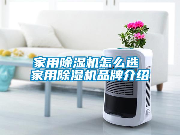 家用除濕機(jī)怎么選 家用除濕機(jī)品牌介紹