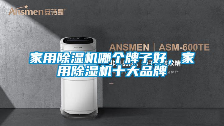 家用除濕機(jī)哪個(gè)牌子好，家用除濕機(jī)十大品牌