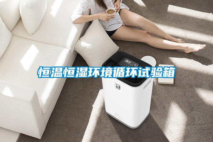 恒溫恒濕環(huán)境循環(huán)試驗箱