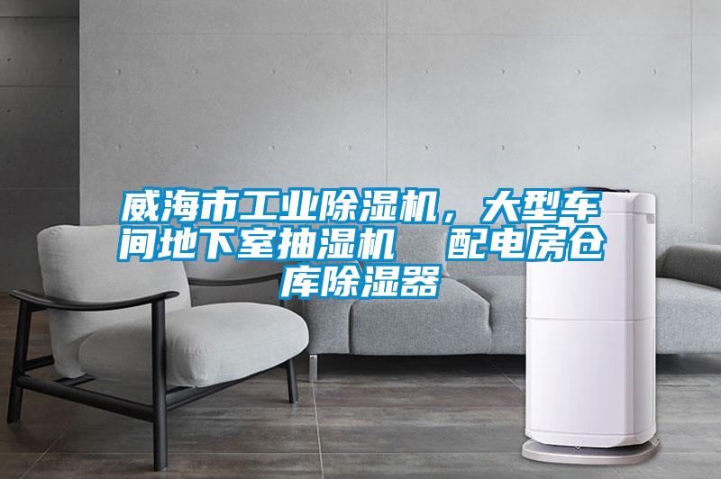 威海市工業(yè)除濕機(jī)，大型車間地下室抽濕機(jī)  配電房倉(cāng)庫(kù)除濕器
