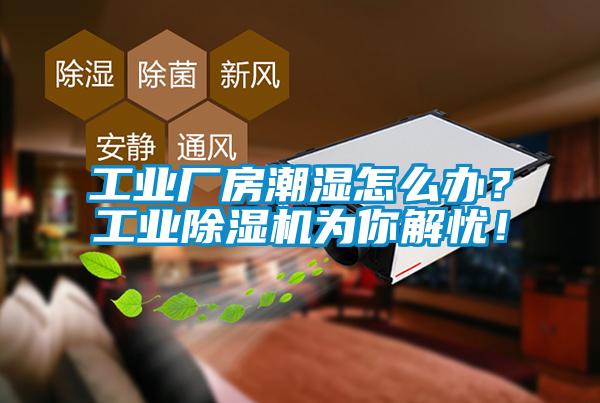 工業(yè)廠房潮濕怎么辦？工業(yè)除濕機為你解憂！