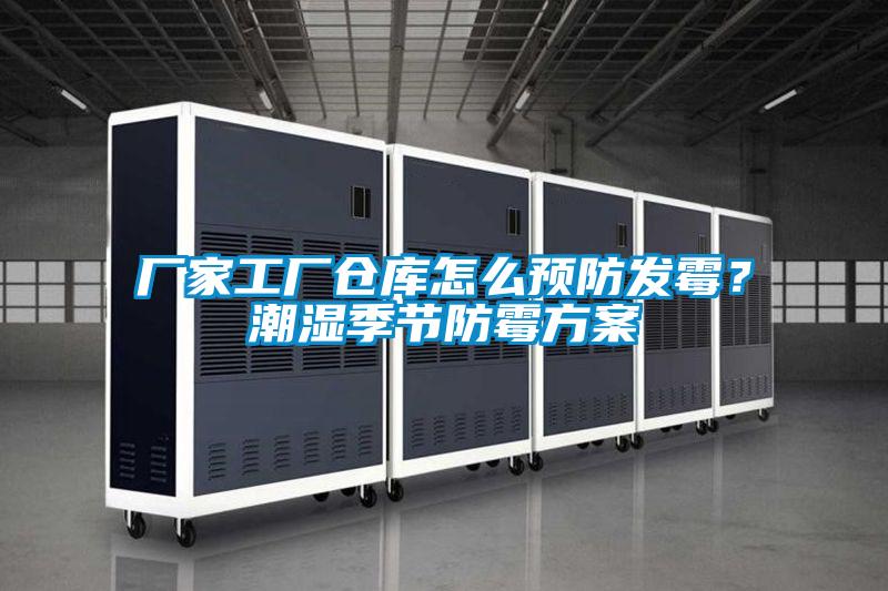 廠家工廠倉庫怎么預(yù)防發(fā)霉？潮濕季節(jié)防霉方案