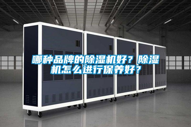 哪種品牌的除濕機(jī)好？除濕機(jī)怎么進(jìn)行保養(yǎng)好？