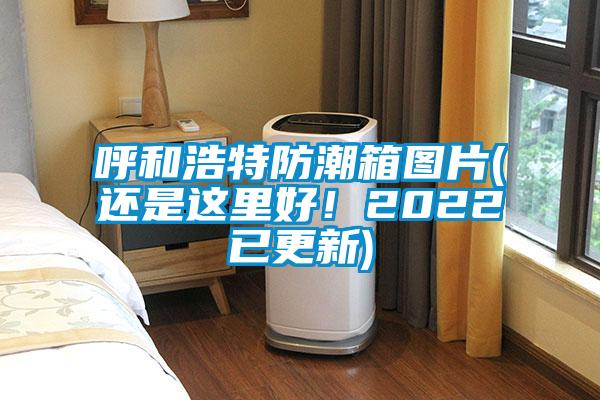 呼和浩特防潮箱圖片(還是這里好！2022已更新)