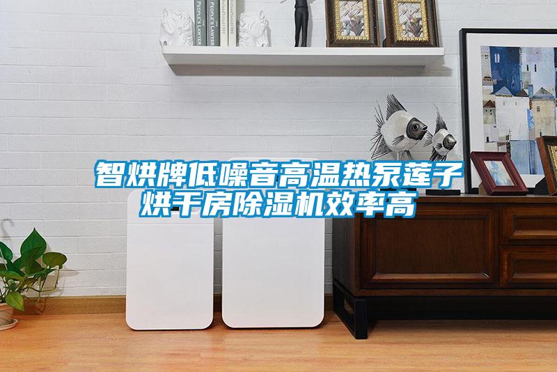 智烘牌低噪音高溫?zé)岜蒙徸雍娓煞砍凉駲C效率高