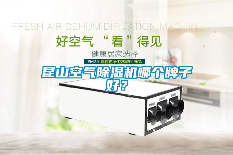 昆山空氣除濕機哪個牌子好？