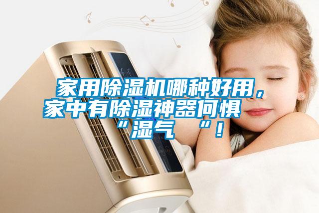 家用除濕機(jī)哪種好用，家中有除濕神器何懼 “濕氣 “！
