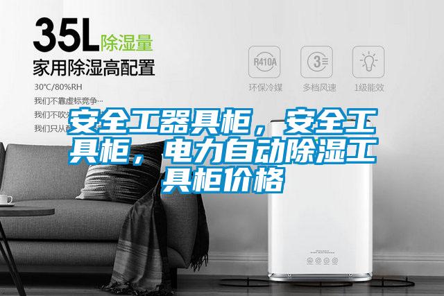 安全工器具柜，安全工具柜，電力自動除濕工具柜價格