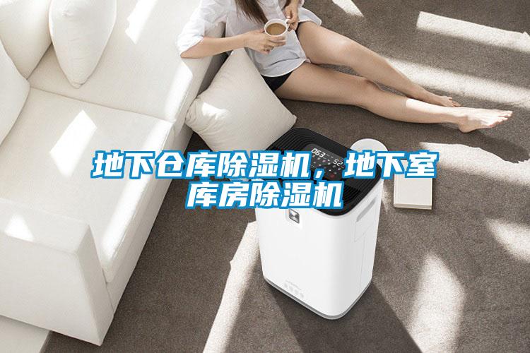 地下倉(cāng)庫除濕機(jī)，地下室?guī)旆砍凉駲C(jī)