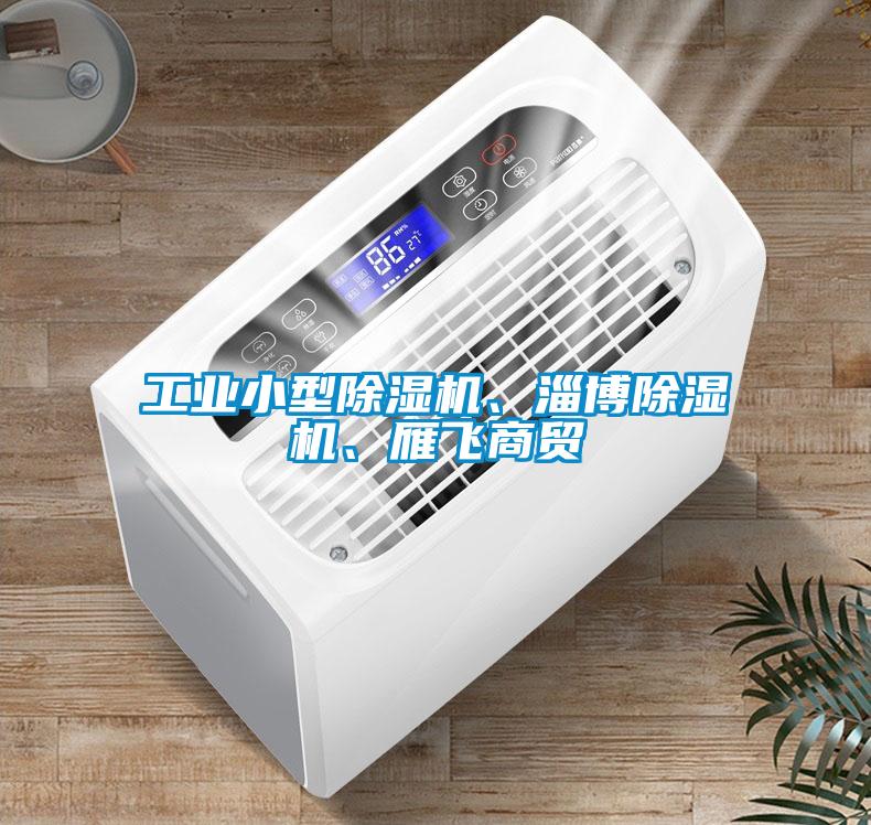 工業(yè)小型除濕機(jī)、淄博除濕機(jī)、雁飛商貿(mào)