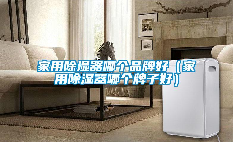 家用除濕器哪個品牌好（家用除濕器哪個牌子好）