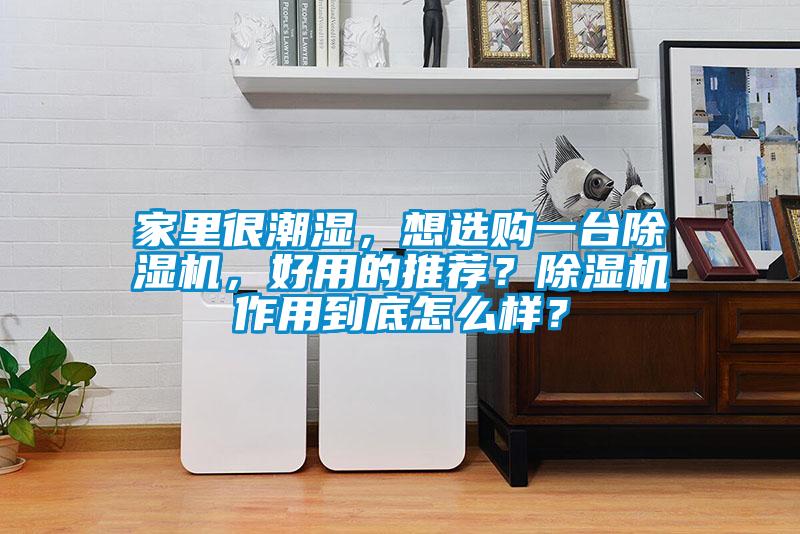 家里很潮濕，想選購一臺除濕機，好用的推薦？除濕機作用到底怎么樣？
