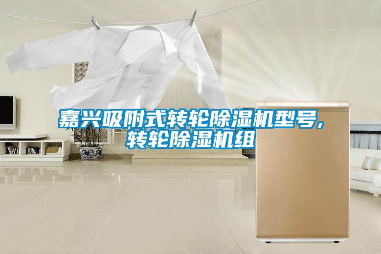 嘉興吸附式轉(zhuǎn)輪除濕機型號,轉(zhuǎn)輪除濕機組