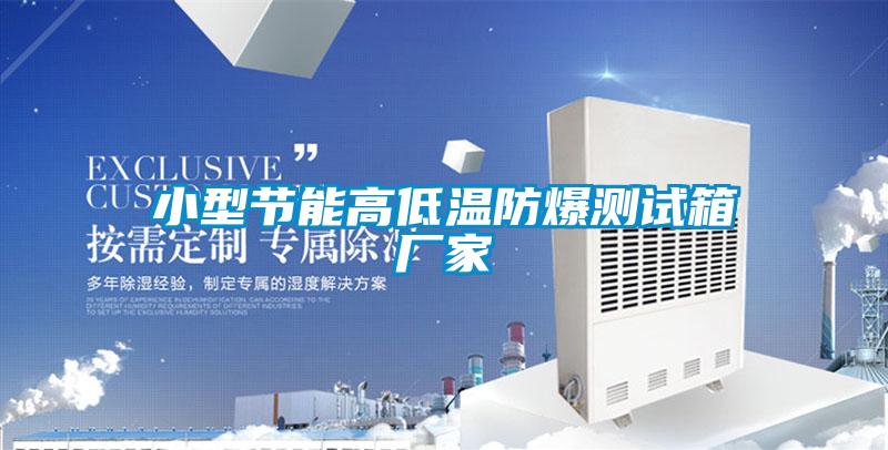 小型節(jié)能高低溫防爆測(cè)試箱廠(chǎng)家