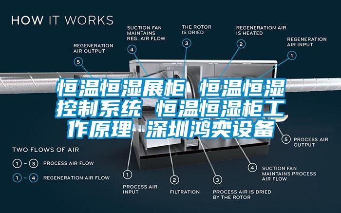 恒溫恒濕展柜 恒溫恒濕控制系統(tǒng) 恒溫恒濕柜工作原理 深圳鴻奕設備