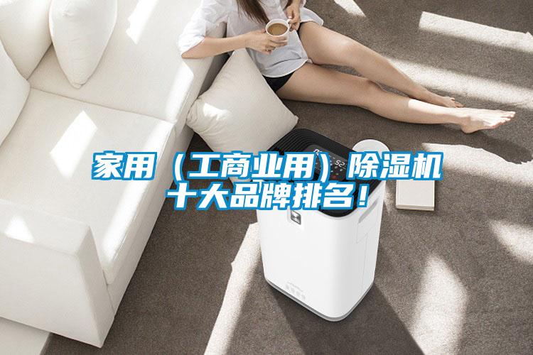 家用（工商業(yè)用）除濕機(jī)十大品牌排名！