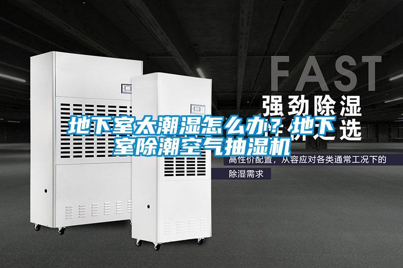 地下室太潮濕怎么辦？地下室除潮空氣抽濕機