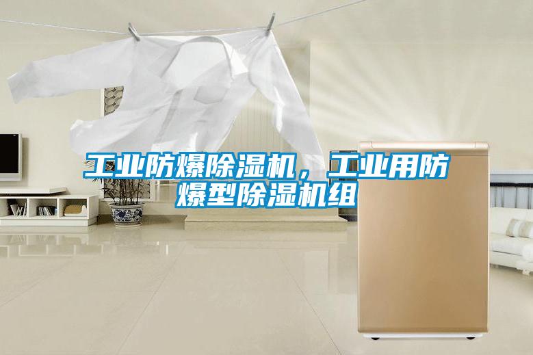 工業(yè)防爆除濕機(jī)，工業(yè)用防爆型除濕機(jī)組